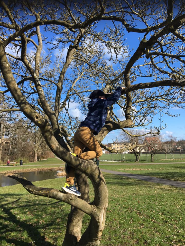 76adf60b 2297 442d b16b 46be15026e54.jpeg